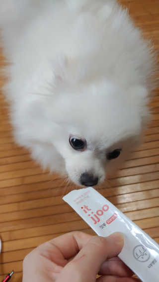 이누닷님이 올린 리뷰 사진 3