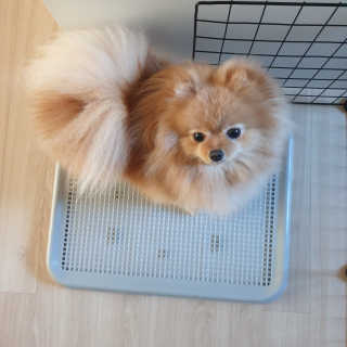 바니츼님이 올린 리뷰 사진 1