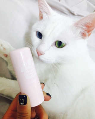 김쪼님이 올린 리뷰 사진 2