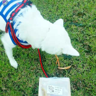greentea님이 올린 리뷰 사진 3
