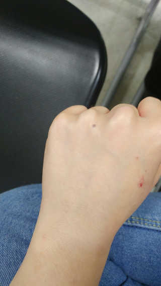 noname님이 올린 리뷰 사진 4