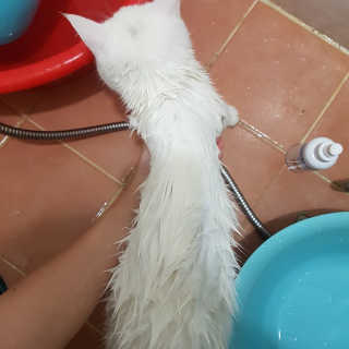 반씨남매마밍님이 올린 리뷰 사진 4