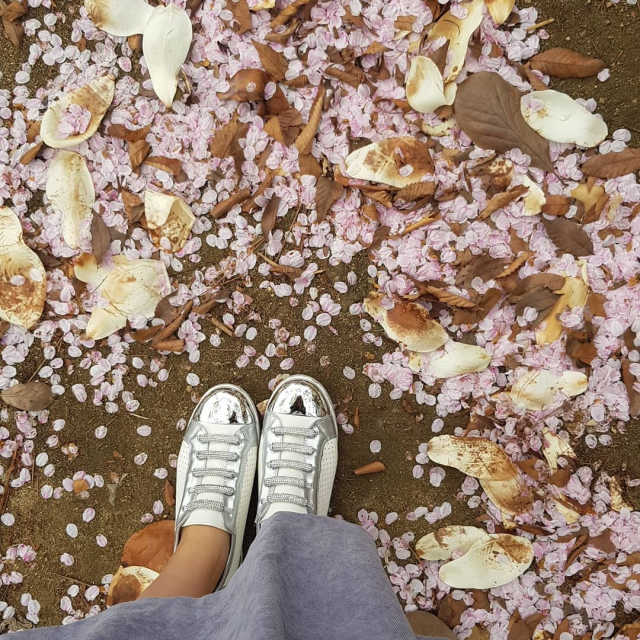 하이엔드 키높이 운동화 리뷰 사진