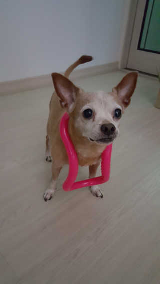 유진오님이 올린 리뷰 사진 1