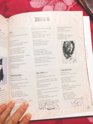 친절한지영씨님이 올린 리뷰 사진 4