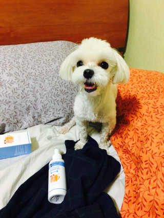 지은님이 올린 리뷰 사진 3