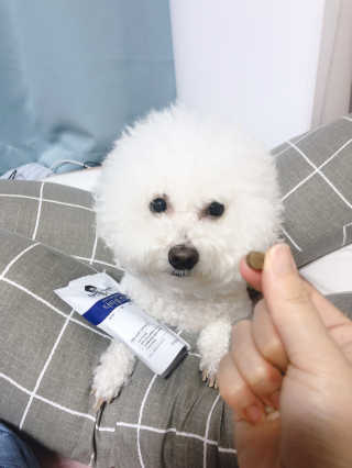 태풍님님이 올린 리뷰 사진 2