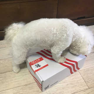 sooing님이 올린 리뷰 사진 1