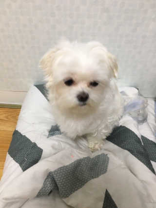 홍지윤님이 올린 리뷰 사진 4
