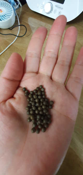박한나님이 올린 리뷰 사진 2
