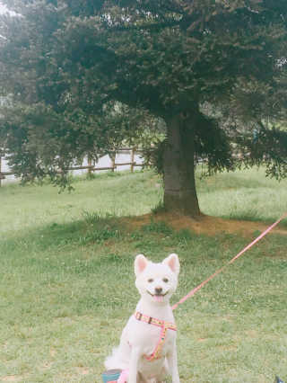 t설유진님이 올린 리뷰 사진 1