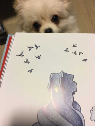 joosuyeoun님이 올린 리뷰 사진 4
