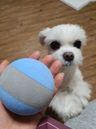 뽀오오옹님이 올린 리뷰 사진 1