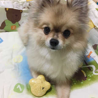 Ariel님이 올린 리뷰 사진 2