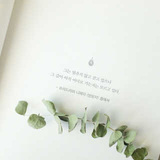 렌옹님이 올린 리뷰 사진 1