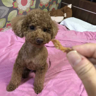 밍찌님이 올린 리뷰 사진 2