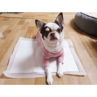 mini unni님이 올린 리뷰 사진 3