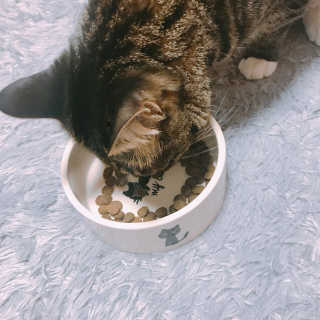 AramSim님이 올린 리뷰 사진 2