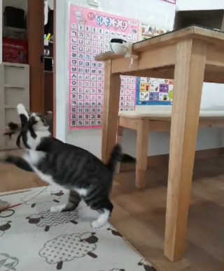 mini unni님이 올린 리뷰 사진 4
