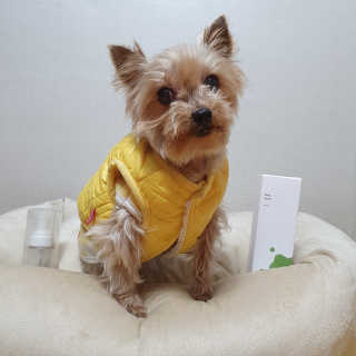 솜희님이 올린 리뷰 사진 3
