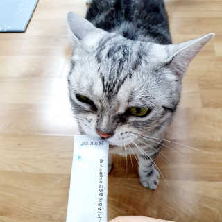 제니언니님이 올린 리뷰 사진 2