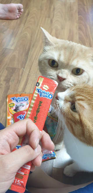 달님님이 올린 리뷰 사진 2