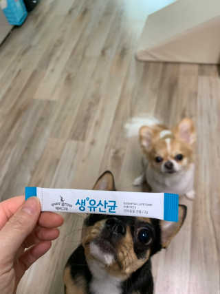 [빙그레] 에버그로 생유산균 1봉（10포입）+펫밀크2팩 — 5점을 준 리뷰어가 2019년 5월 올린 사용 사진