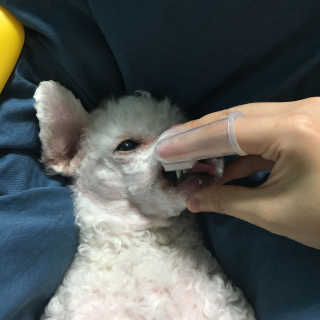 은지짱님이 올린 리뷰 사진 2