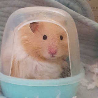 또로링님이 올린 리뷰 사진 4