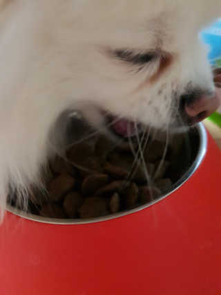 신이신이님이 올린 리뷰 사진 2