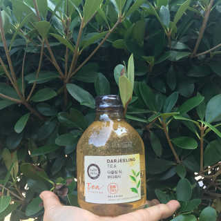 노윤아님이 올린 리뷰 사진 2