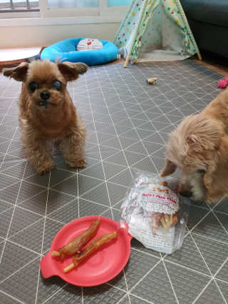 짱가엄마님이 올린 리뷰 사진 3