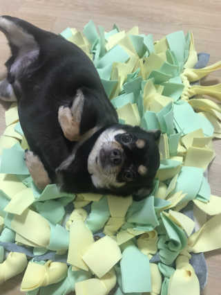 홍은별님이 올린 리뷰 사진 1