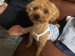 반진님이 올린 리뷰 사진 1