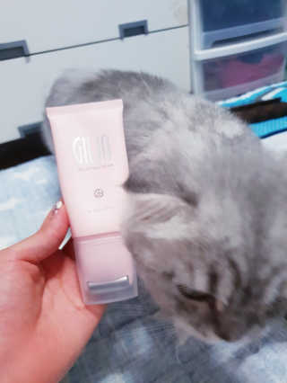 코쿄님이 올린 리뷰 사진 2