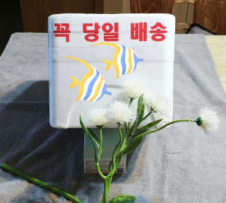 참살이님이 올린 리뷰 사진 1