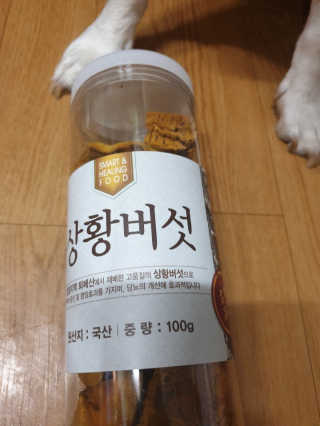 beaglelove님이 올린 리뷰 사진 4
