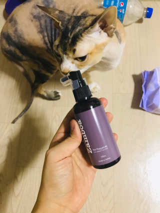 이아님이 올린 리뷰 사진 1