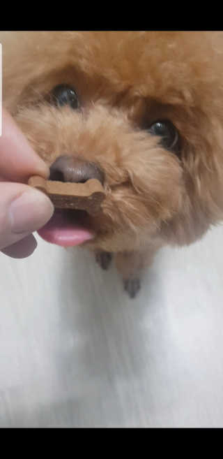 aks0225님이 올린 리뷰 사진 1