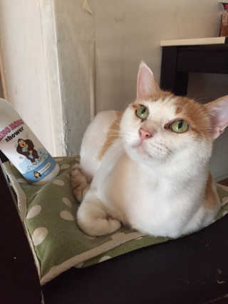 연화님이 올린 리뷰 사진 2