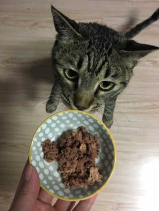 짱이님이 올린 리뷰 사진 2