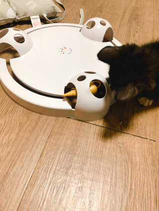 랑이님이 올린 리뷰 사진 2