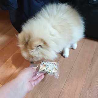 선율님이 올린 리뷰 사진 3