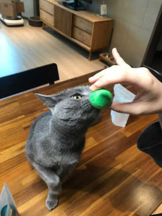 은또니님이 올린 리뷰 사진 3