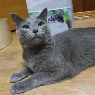 또근님이 올린 리뷰 사진 1