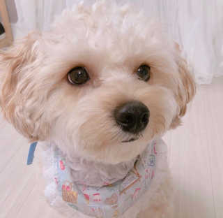 러브제이님이 올린 리뷰 사진 3