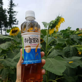 웅진식품 19년 하늘보리 열두보리 스페셜 에디션 — 5점을 준 리뷰어가 2019년 7월 올린 사용 사진