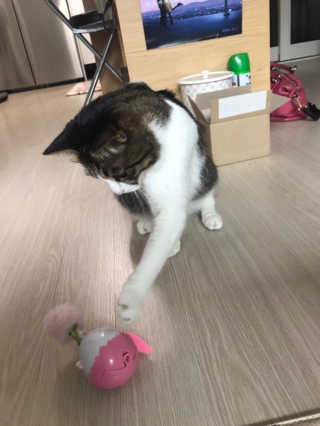 글라라5205님이 올린 리뷰 사진 1