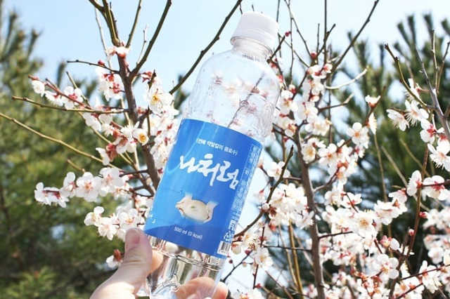 한우물 나처럼 500ml_10ea 리뷰 사진