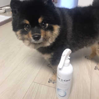 [펫토리아] 뚝딱케어 강아지 고양이 다목적세정제 — 5점을 준 리뷰어가 2020년 2월 올린 사용 사진